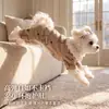 Otoño Invierno Terciopelo de Jerez Encaje Cuatro Patas Cálida Ropa de Terciopelo Ropa para Mascotas Uso en Casa Perros Pequeños a Medianos Gatos Ropa