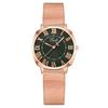 Fabricante en Stock Venta al por Mayor Comercio Exterior Moda Popular Patrón Romano Reloj de Mujer Reloj de Mujer Correa de Malla Correa Milanesa Reloj de Cuarzo