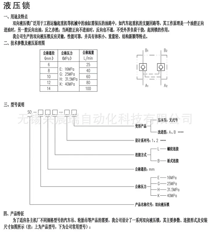 液压锁-1.jpg
