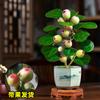 Dropshipping Árbol Bodhi en Maceta Bonsái Bodhi Pequeño con Fruto Adornos de Escritorio Zen Chino Interior Creativo Bueno