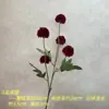 5 Bolas Pequenas de Cebolinha, Bolas Pequenas de Agulha, Flores Artificiais de Crisântemo, Adereços de Fotografia, Arranjos de Flores de Chão, Arranjos de Flores para Exterior, Flores Artificiais para Decoração de Casa