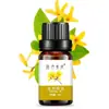 Aceite esencial único transfronterizo aromaterapia aceite esencial belleza aromaterapia masaje fragancia natural fragancia diaria botella de aceite esencial de planta