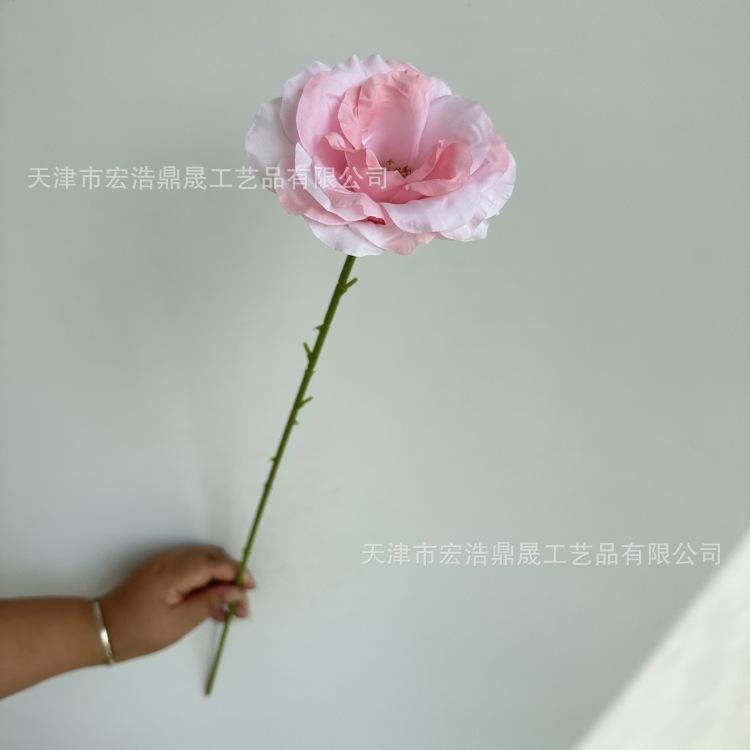 微信图片_20230901152819_副本