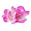 Bulbos de Alyssum Importados, Fresias en Maceta para Interiores y Exteriores, Flores Perennes de Cuatro Estaciones, Plantas con Flor Fáciles de Cultivar