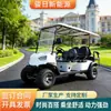 Carritos de Golf Eléctricos, Vehículos Turísticos para Lugares Pintorescos, Vehículos de Paseo para Parques y Fábricas, Carritos de Golf para Recepción del Campo