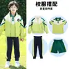 Uniforme de jardim de infância, jaqueta de baseball de outono, conjunto verde e roxo, uniforme de classe de escola primária, uniforme escolar de verão de três peças, todo em algodão