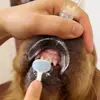 Ferramenta de Escovação de Dentes para Cães Auxílio de Limpeza Oral para Animais Gancho Abridor de Boca Expansor Lateral Resistente a Altas Temperaturas