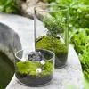 Ornamento de vaso de vidro, garrafa ecológica hidropônica, terrário de musgo DIY, vaso de flor para suculentas, pote de vidro, garrafa de micro-paisagem ecológica
