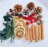 Fruta Fixa Natural Planta Fruta Casca Espécime Material Decoração Flores Secas Fatias Jardim de Infância DIY Pacote de Material de Natal