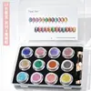 Arte de Uñas Polvo de Luz de Luna Polvo de Espejo Set de 12 Colores Polvo de Superficie de Espejo Aurora Polvo Metálico Polvo de Oro Titanio con Carta de Colores Para Salones de Uñas