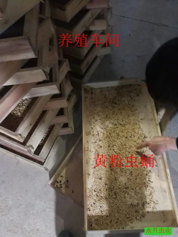 IMG_20180317_160847_副本