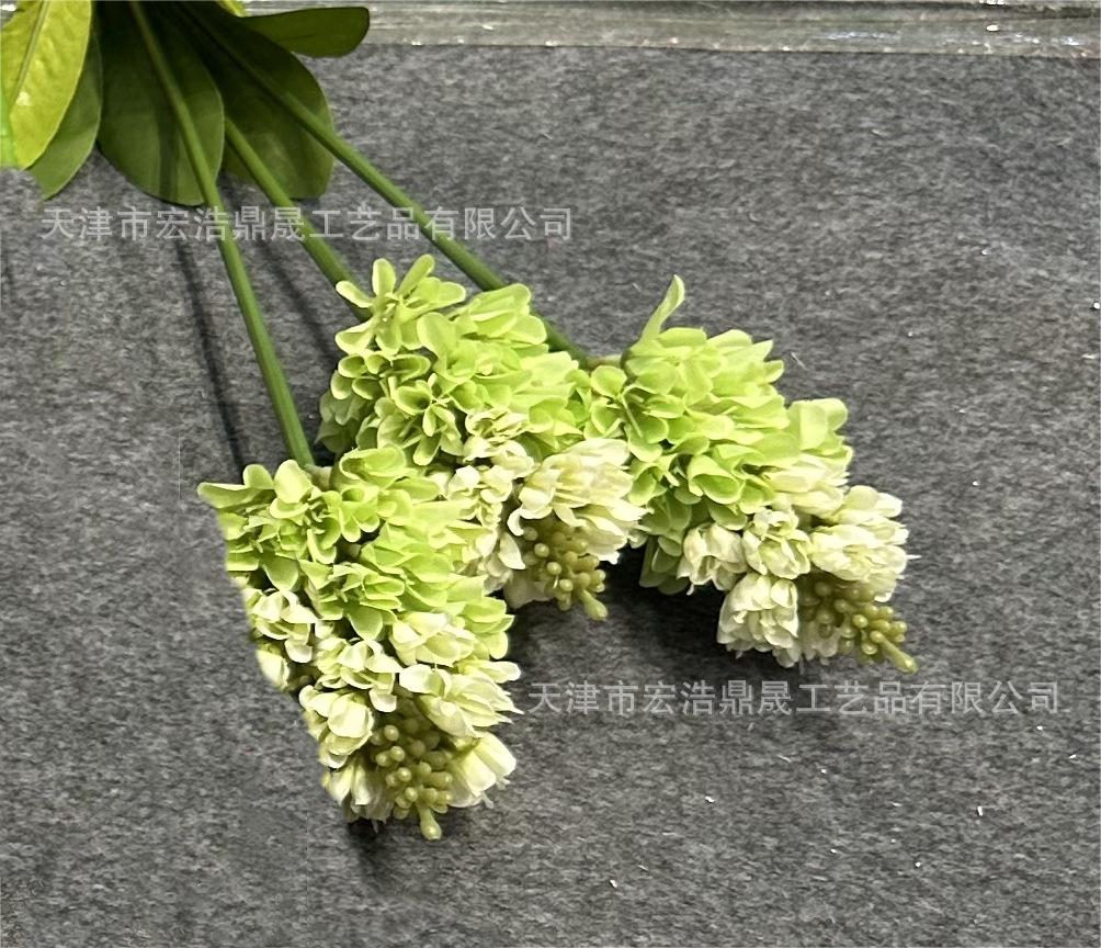 微信图片_202307231340152(4)