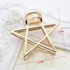 Metal Pequeno Agarre Clipe Feminino Vários Caracteres Design de Nicho Irregular High Sense Hairpin Half Pin High Pony Tail Shark Clip