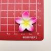 Simulación de cara brillante colorida con degradado de Bauhinia, flor de cinco pétalos, accesorios de resina para bricolaje, accesorios para fundas de teléfono móvil, horquilla, pegatina para taza de agua