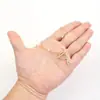 2026 Más Vendido Transfronterizo Perla de Imitación 26 Letras Inglesas Hebilla Ot Colgante Incrustado de Circonita Moda Exquisita Gargantilla