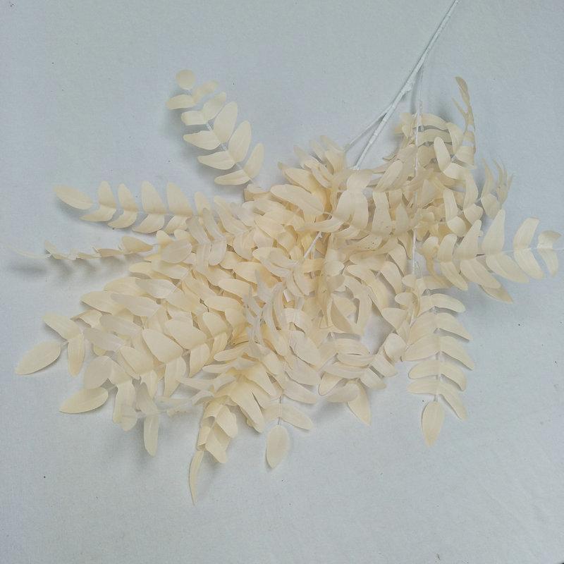香槟