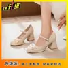 Sapatos de Salto Alto Femininos Versáteis Confortáveis de Nicho Novo Estilo Primavera/Verão 2026 Salto Bloco Baixo Raso Mary Jane Sapatos de Salto Único