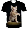Camiseta Casual Creativa de Manga Corta para Hombre 2026, Exclusiva de Moda para Comercio Exterior de Hombres, Disponible para Dropshipping