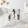 A Fábrica de Artesanato Zhongkun vende espécimes de insetos genuínos como itens decorativos, embutidos em resina de alta transparência, como brinquedos científicos educativos para crianças.