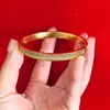 Série Gipsophila pulseira de fivela de diamante de duas fileiras brilhante de luxo leve não desbota pulseira de diamante de três fileiras joia de temperamento da moda
