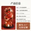 Cúpula de Cristal con Flor de Rosa y Luz, Flor de Jabón, Flor Preservada, Regalo Transfronterizo para el Día de San Valentín