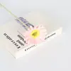 Flores artificiales personalizadas tipo nórdico de margarita africana para bodas, gabinetes de TV para el hogar, decoración de interiores de hoteles, textiles del hogar y arreglos florales