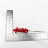 Simulação de comércio eletrônico transfronteiriço Flor 12 Holly Fruit Floco de neve Red Berry Balde Jóias Ano Novo Fortune Fruit Natal Fruit