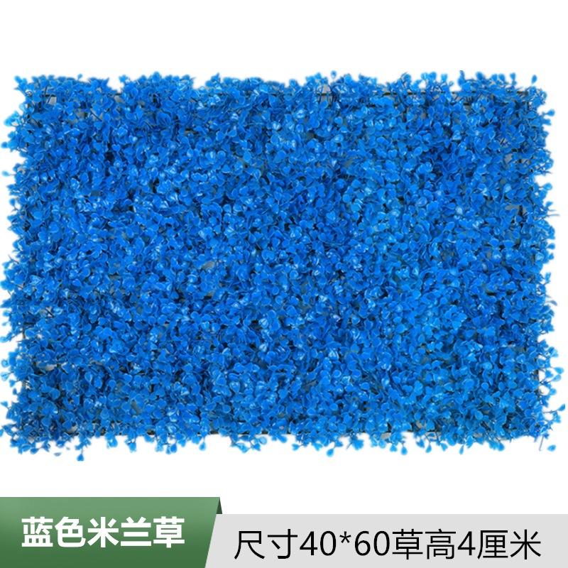 蓝色米兰.jpg