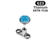 Aleación de Titanio F136 Roscado Interno Zirconia Implante G23 Joyería para Piercings Implante Óseo Clavo de Clavícula Joyería para Piercings Femeninos