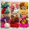 Paquete de Material en Relieve A5 Flores Secas Flor Inmortalizada Marco de Fotos Paquete de Material en Relieve Material Floral para DIY Vela de Aromaterapia Flores Secas Mayoreo