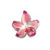 Presilha de Cabelo Flor de Plumeria Colorida para Mulheres, Grampo de Cabelo Floral, Elegante Presilha de Tubarão, Acessório de Cabelo para a Parte de Trás da Cabeça, Ornamento de Cabelo Estilo Coreano para Meio Preso