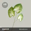 Decoración de Pared de Planta Artificial de Moda con Textura Realista de Hojas de Monstera, Suministro Transfronterizo de Hojas de Taro Artificiales de Colores
