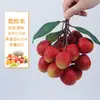 Modelo de fruta de plástico de simulación manzana piña pera melón Hami naranja fruta y verdura falsa accesorios para fotografía alimentos y juego materiales didácticos