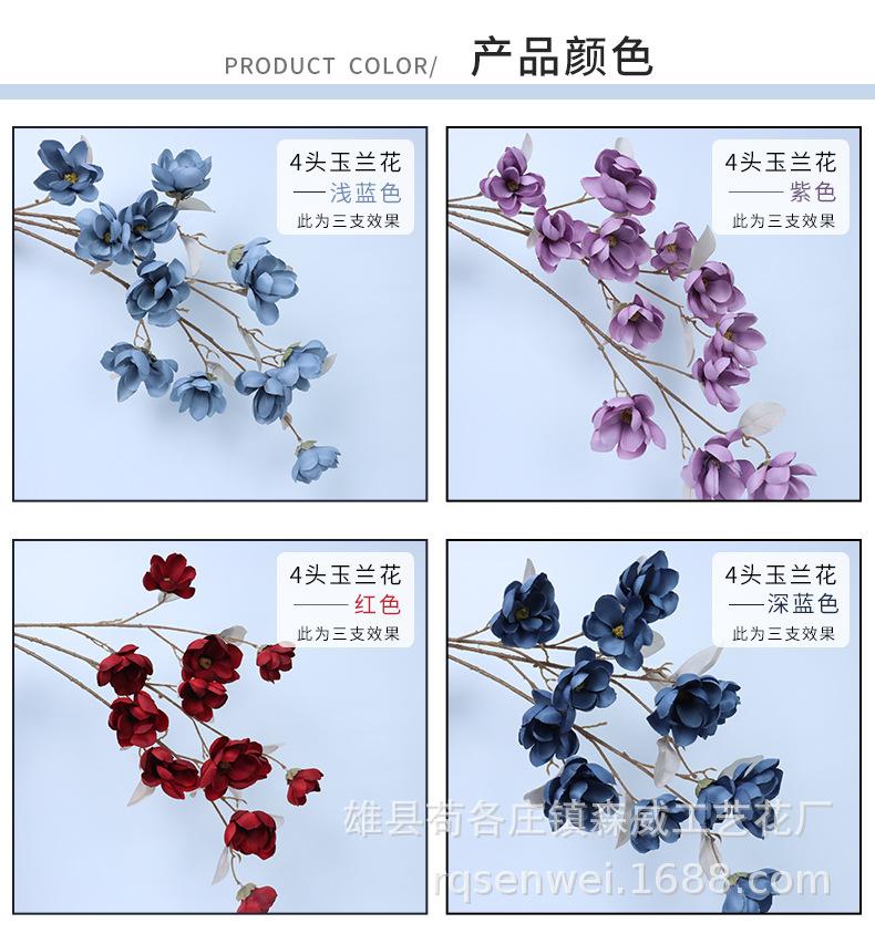 玉兰花_04.jpg
