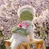 Sombrero Petcircle para Perros Pequeños, Sombrero de Sol con Vestido Floral, Elegante Sombrero Pequeño Floral