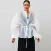 Camisa de Color Sólido Transparente con Cuello en V Estilo Europeo y Americano Transfronterizo para el Trabajo Nueva Colección Primavera/Verano 2026 Top de Manga Larga Simple de Alta Gama para Mujer