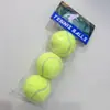 Venda Direta da Fábrica Bola de Tênis Elástica 90cm Saco Único Elástico Entretenimento para Iniciantes Durável Bola para Pet Brinquedo Resistente ao Desgaste Jardim de Infância