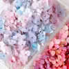Flores Secas, Flores Preservadas, Hortênsias em Cor Gradiente, Kit de Materiais DIY Feito à Mão, Tampa de Vidro para Colar no Rosto, Flores que Não Murcham