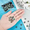 Concha de abulón, Concha de agua de mar, Piezas de concha redondas y finas, Cara de anillo para manualidades, Accesorios para el cabello, Collar, Accesorios para pulseras, Pasador de pelo, Adorno para la cabeza