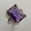 Joia de desejo transfronteiriça Chenrui personalidade zircônia retangular roxa incrustada zircônia em forma de gota anel feminino fornecimento direto da fábrica