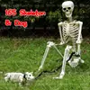 Adorno de Esqueleto de Halloween Transfronterizo Modelo Nuevo 165cm + Set de Correa para Perro Esqueleto Puede Pararse en el Patio Casa Embrujada