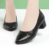 Zapatos de Salón de Punta Fina con Tacón Grueso para Mujer 2026 Otoño Nuevo Estilo Suela Suave Piel Suave Tacón Medio Zapatos Pequeños de Cuero Zapatos de Trabajo Negros Profesionales