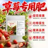 Fertilizante para Fresas Fertilizante Especial Plantas de Maceta Caseras Fertilizante Orgánico Solución Nutritiva para Plantas Tipo Universal Etapa de Floración Cuajado y Engorde de Frutos