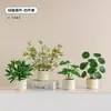Plantas Verdes, Vasos Pequenos, Árvore da Fortuna Semelhante para Mesas de Escritório Internas, Mesas de Centro de Sala de Estar, Flores Artificiais e Arranjos Florais