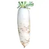 Sementes de Rabanete Branco São Fáceis de Cultivar em Campos Agrícolas, Hortas e Quintais com Polpa Grossa e Alta Umidade
