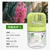 Novo Modelo para Entrega: Zhumeng Casa Celebridade da Internet Sem Fogo Líquido Refil de Aromaterapia para Quarto de Menina Fragrância Gaiola de Pássaro Pequeno Perfume