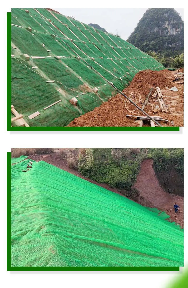 三维植被网_看图王_08.jpg