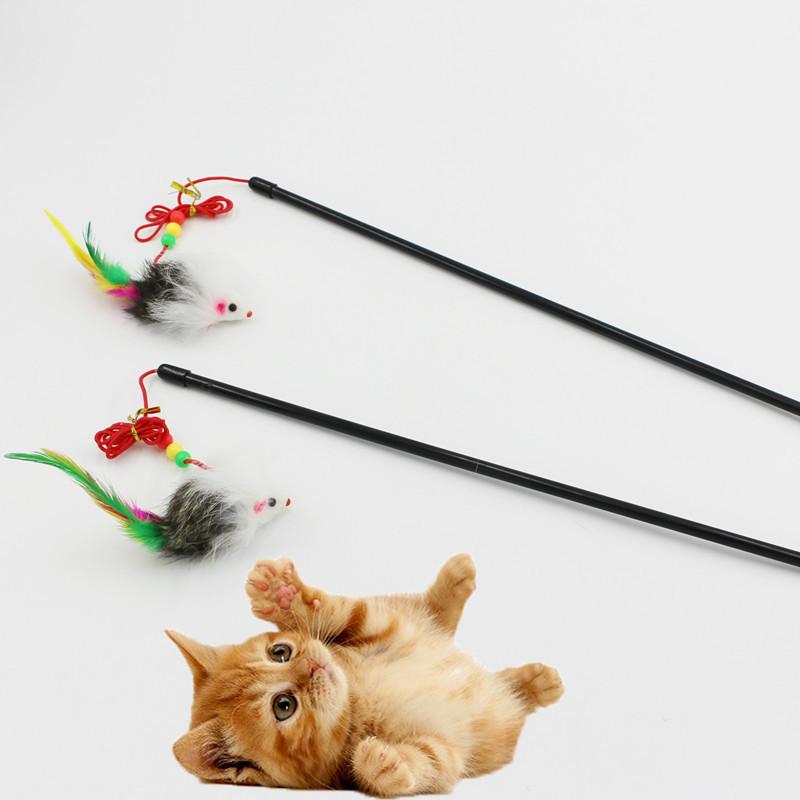 IMG_4762_副本_副本