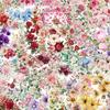 50 Piezas de Pegatinas de Encaje de Flor Rosa Caja de Papelería para Niños Decoración Belleza Creativa Pegatinas Decorativas Transparentes de Mascotas