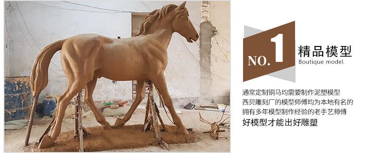 精品模型.jpg